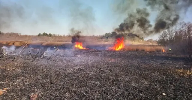 Фото з вільних джерел У Краснограді сталася масштабна пожежа та велика аварія на порталі Gromada Group