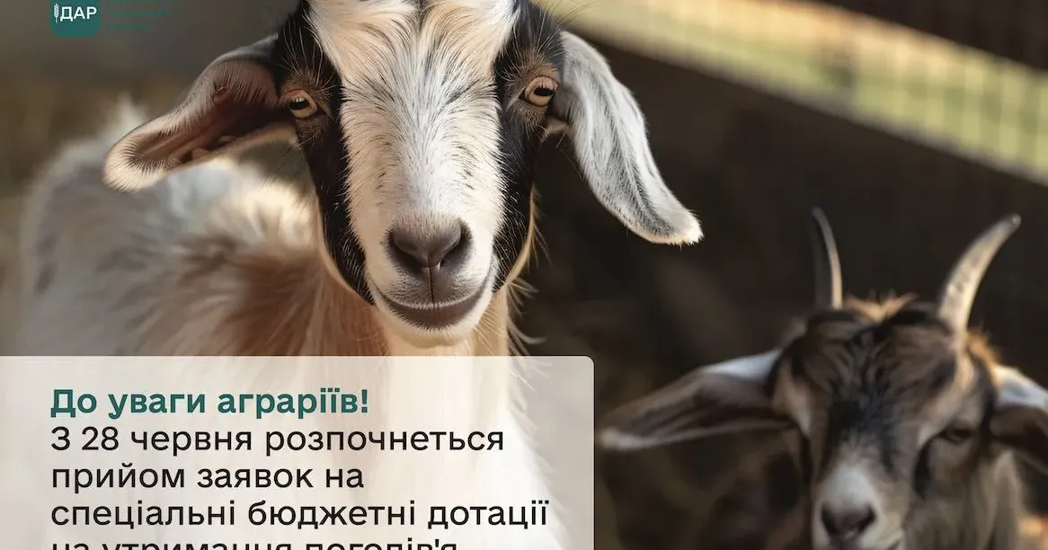 Фото з офіційного сайту Міністерства аграрної політики та продовольства України Подати заявки на отримання бюджетної допомоги можуть аграрії усіх районів та громад на порталі Gromada Group